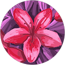 Klaudia W. profile picture